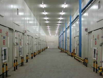 優(yōu)化倉儲效率的核心 全面了解現(xiàn)代倉儲設(shè)備