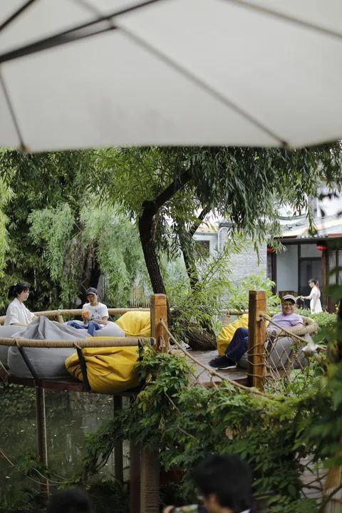 90后女孩在樹上開咖啡館,零宣傳爆紅,網友卻羨慕她的遛狗日常