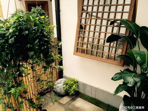 西子湖畔,踏春而來,杭州西湖邊4天420元每人