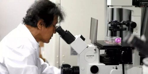 護膚領(lǐng)域新添猛將 馥茜美容護膚攜手日本護膚專家實力來襲