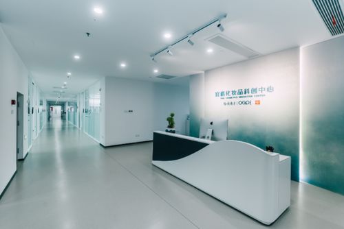 進擊成熟市場 國產(chǎn)美妝出海的天地幾何與研發(fā)破局